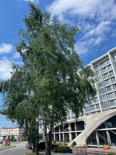 2-к. квартира, 63,1 м², 9/10 эт.