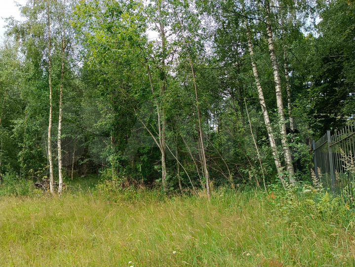 Участок 18,7 сот. (СНТ, ДНП)