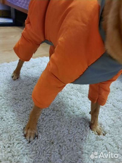 Комбинезон для маленькой собаки