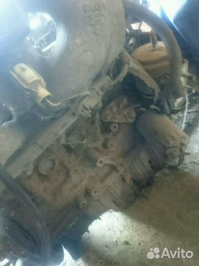 Двигатель ford escort 1.6 L1E 16v zetec