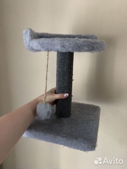 Когтеточка