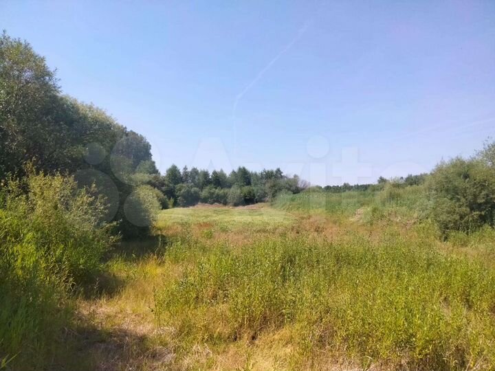 Участок 1,27 га (СНТ, ДНП)