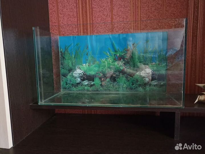 Аквариум