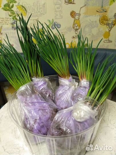 Лук на перо