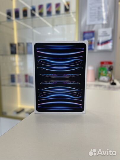 iPad Pro 11 M2 2022 Wi-Fi+Cellular 256GB Silver