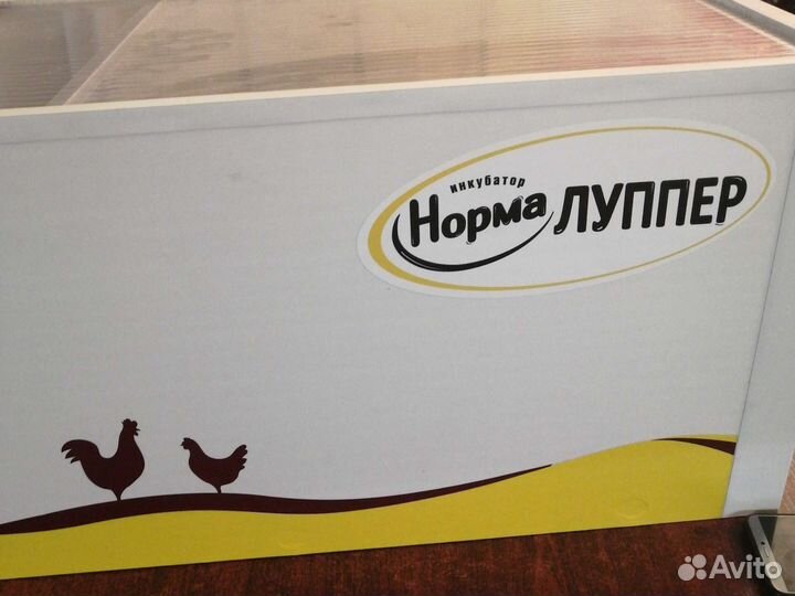 Инкубатор аренда