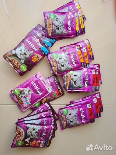 Корм для кошек 36 пакетиков + наполнитель