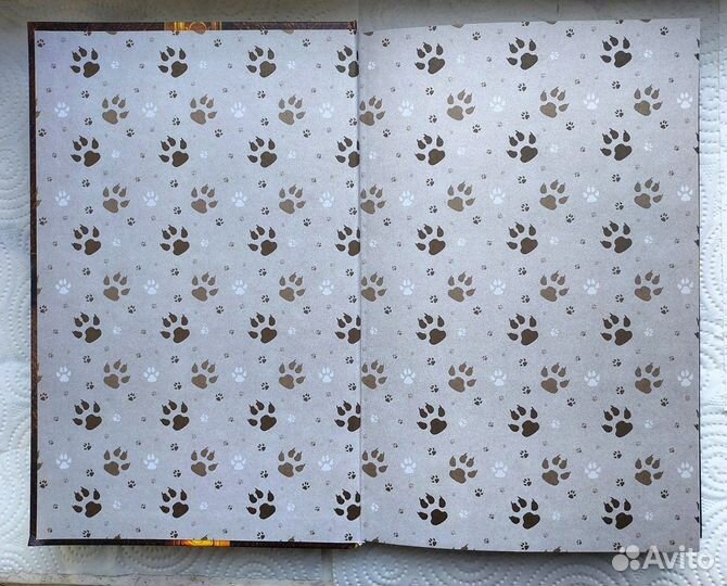 Коты воители 