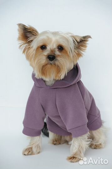 Одежда для собак и кошек