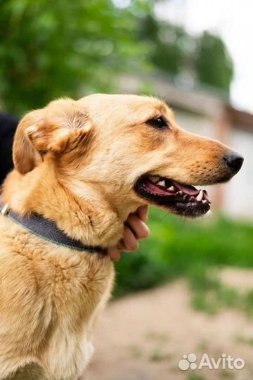 Верочка верит в новый дом