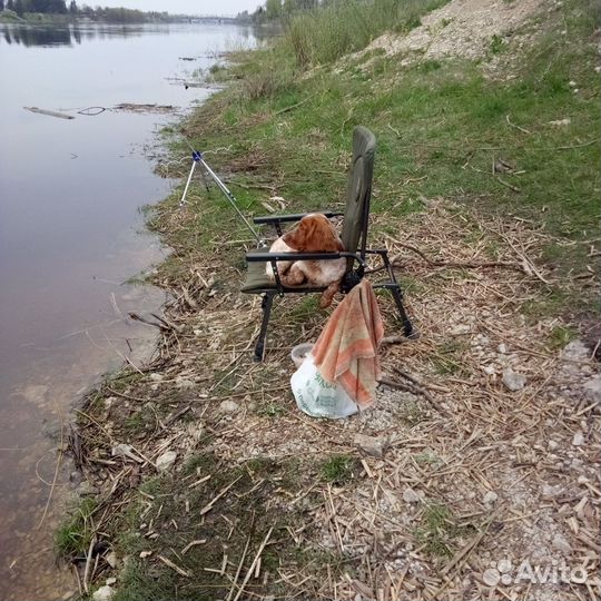 Русский спаниель вязка