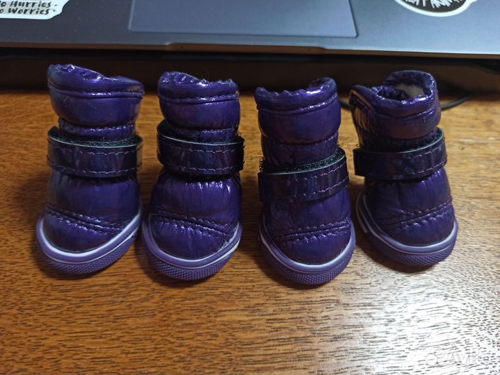 Сапожки для собак