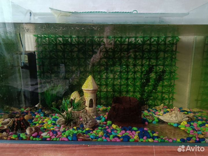 Аквариум