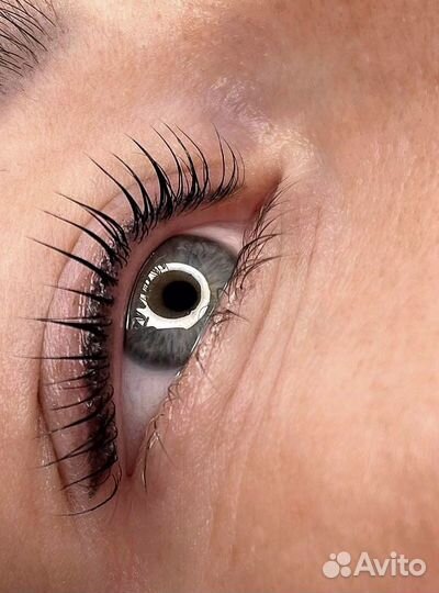 Ламинирование ресниц и укладка бровей