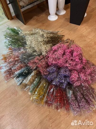 Стабилизированные растения/Сухоцветы