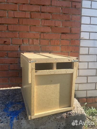 Пчелопакет, ящики без пчел