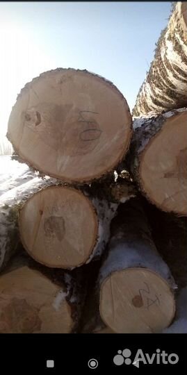 Лес кругляк Сосна дрова Берёза Осина