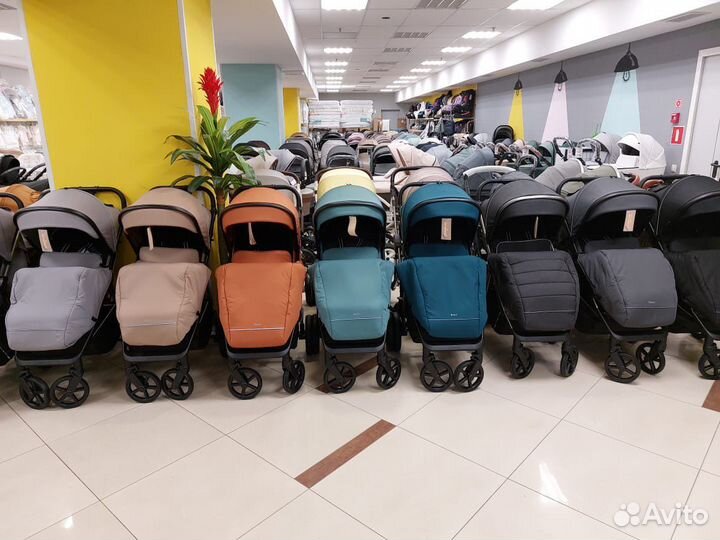 Коляска carello Bravo plus 2023