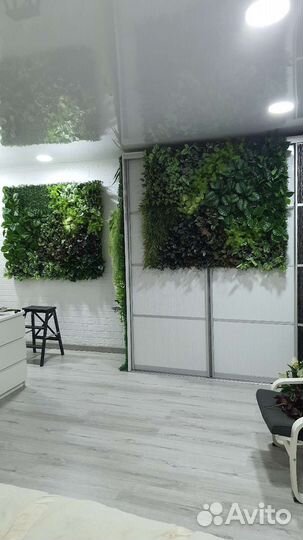 Фитостена вертикальное озеленение