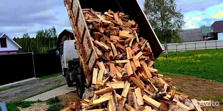 Береза на выбор