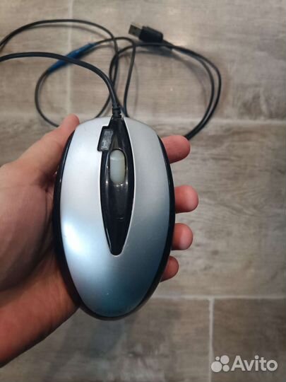 Мышь компьютерная