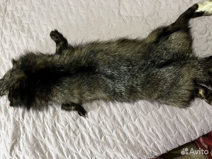 Шкура чернобурки