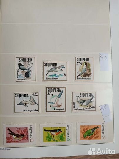 Марки птицы чистые ч1