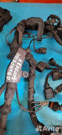 Проводка (коса) двигателя Hyundai grandeur 4 (200