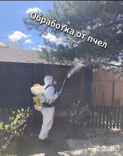 Обработка Уничтожение Клопов Тараканов Клещей