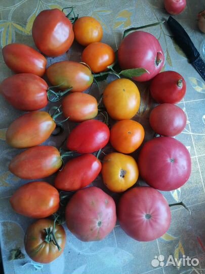 Домашние овощи