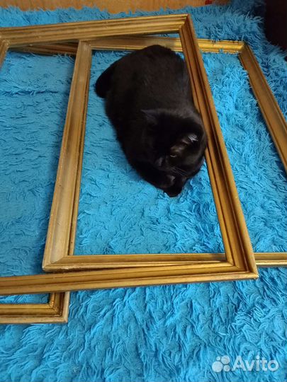 Подрамники