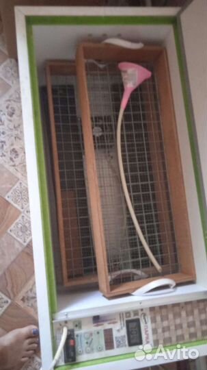 Инкубатор профессиональный