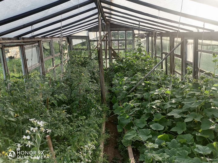 Дача 20 м² на участке 6 сот.