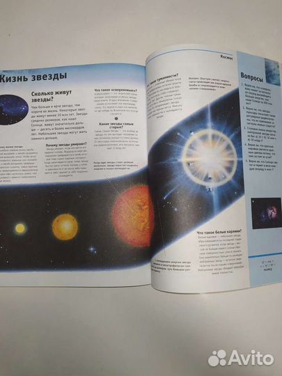 Новая энциклопедия школьника