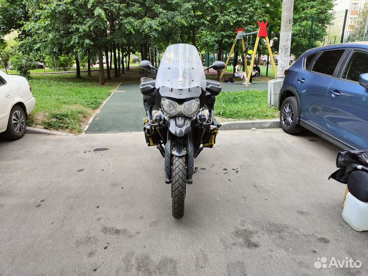 Triumph Tiger 800 дилерский