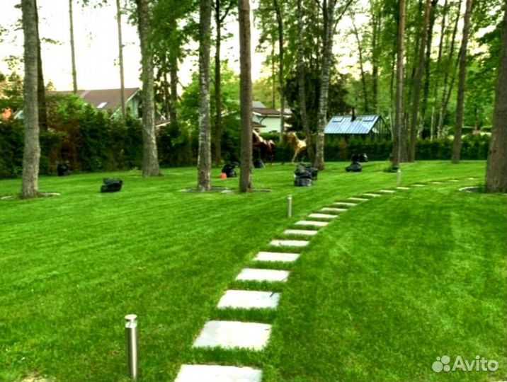 Рулонный газон 