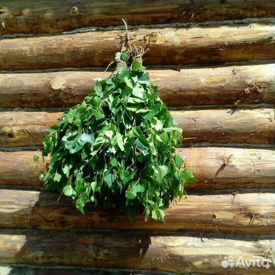 Берёзовые веники