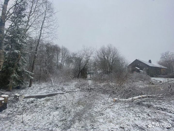 Расчистка участка