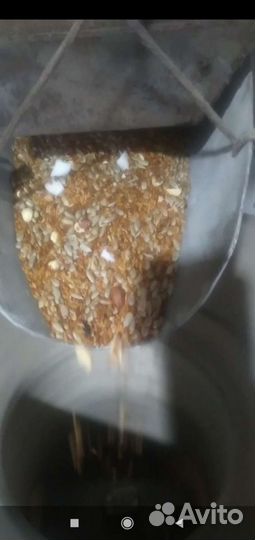 Урбеч свежий оптом