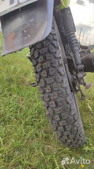 Racer Tiger 150-23