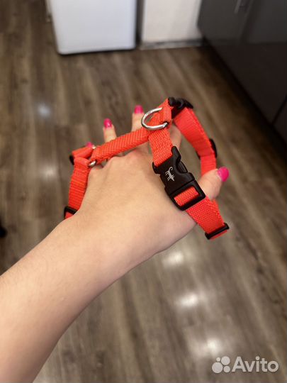 Шлейка для собаки бренда шарикдог