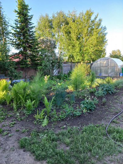 Дача 42 м² на участке 14 сот.