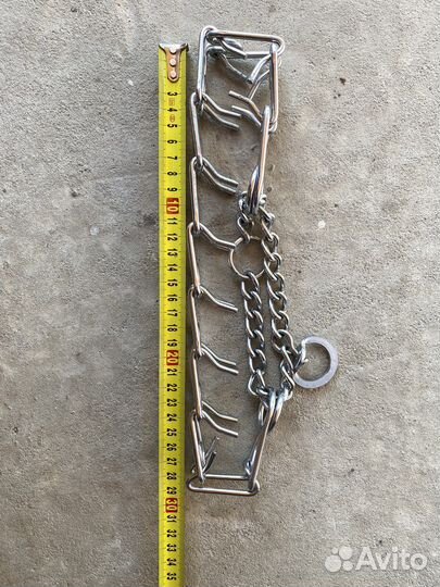 Строгий ошейник для собак