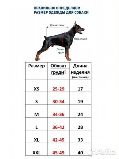 Одежда для собак мелких пород