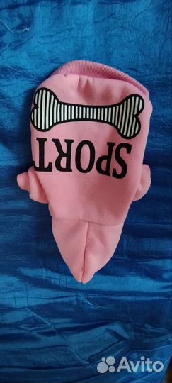 Одежда для собак мелких пород