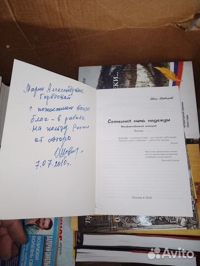 Шиверев, Солнечная нить надежды,2010 г