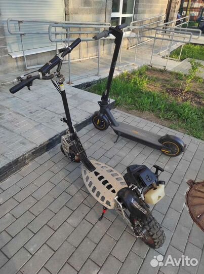 Самокат EVO взрослый (Продажа/Обмен)