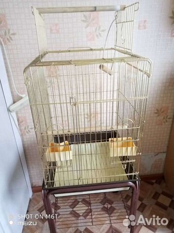 Клетка в отличном состоянии