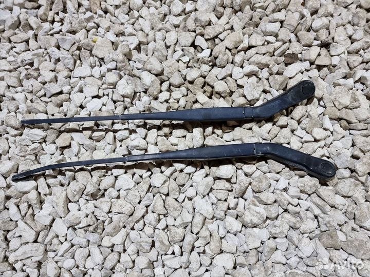 Поводок Мерива