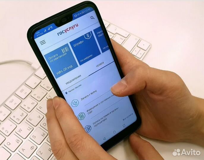 Детские пособия. Самозанятость. ИП